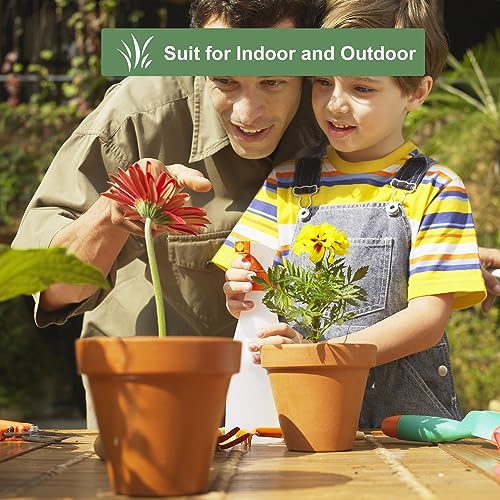 6 inch Terracotta & Clay Pots for Plants with Saucer, Medium Terra Cotta Plant Pots with Drainage Hole, Flowerpot with Tray, Terracotta Pot for Indoor Outdoor Plant - Pack of 4 Planters
