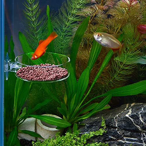 60mm Aquarium Shrimp Feeder Dish with Suction Glass Fish Tank Feeding Bowls Round Clear Dishes Tray
