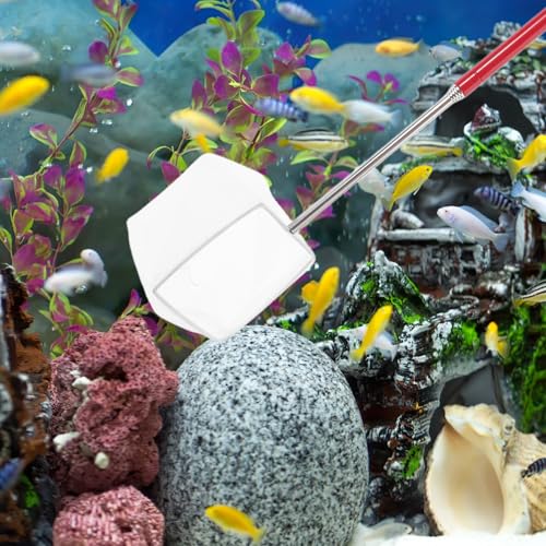 Cabilock Mini Telescopic Shrimp Net for Aquarium Small Fine Mesh Fish Net with Extendable Handle for Fish Tank Maintenance and Shrimp Catching