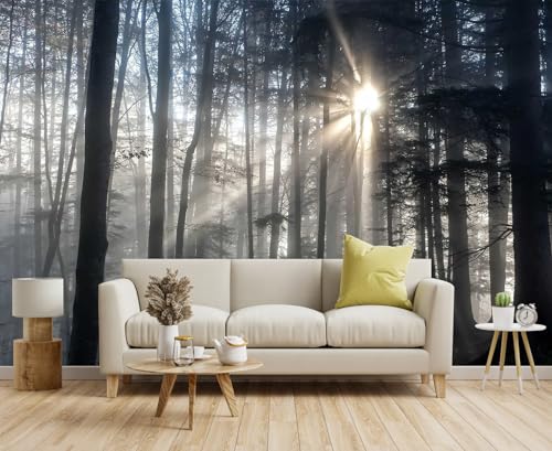 Misty Forest Mysterious Sunrise Mural, Forest Wallpaper Decorative Painting for Living Room, Bedroom, Dining Room Decoration（Non-self-Adhesive） - color: MURAL-204, size: 127" x 77"