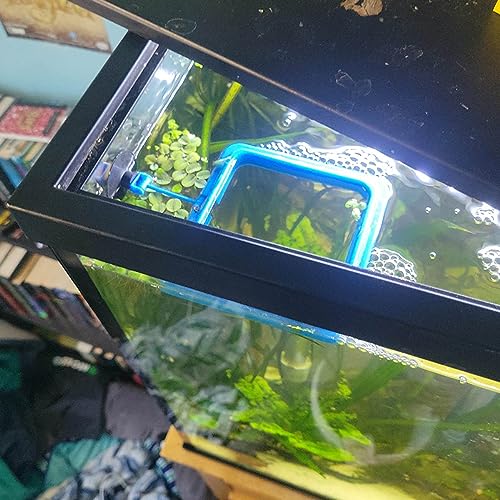 Fish Feeding Ring Floating Food Feeder Circle with Suction Cup Easy to Install Aquarium (Square) - color: blue