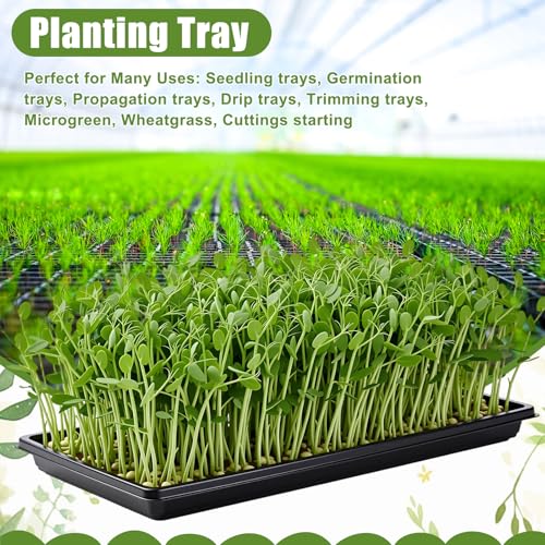 20 Pack 1020 Seed Starting Tray Heavy Duty Plant Growing Flat Seedling for 72/128 Cell Plug Plant Nursery Tray No Hole Germination Transplant for Microgreens Gardening Greenhouse (L)