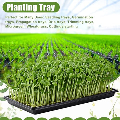 20 Pack 1020 Seed Starting Tray Heavy Duty Plant Growing Flat Seedling for 72/128 Cell Plug Plant Nursery Tray No Hole Germination Transplant for Microgreens Gardening Greenhouse (L)