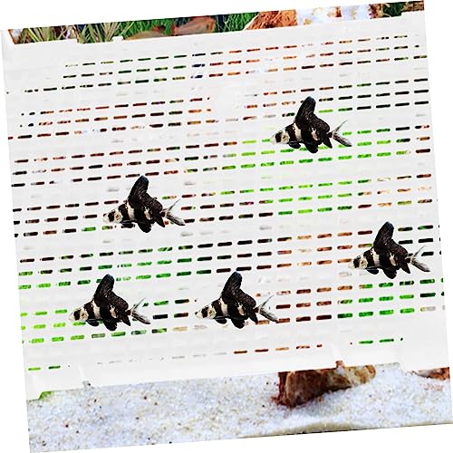 LIOOBO 4pcs Aquarium Isolation Divider for Fish Tank Panel Cups for Enhanced Water Permeability Betta Fish Separator Transparent System