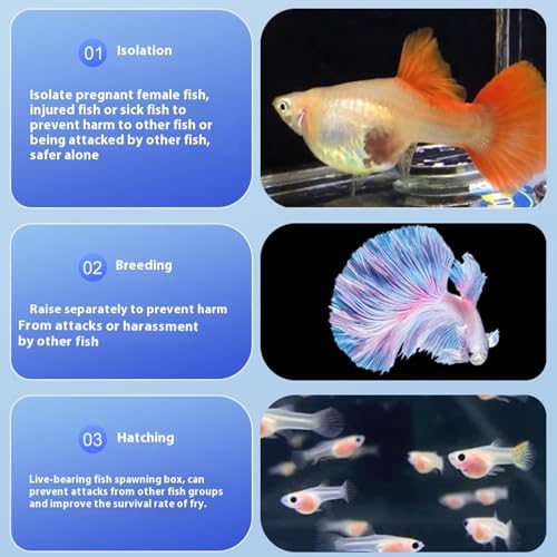 Floating Fish Breeding Box Net Design Safe Fish Habitat Isolation Tanks for Fry Shrimp Easy Setups Compacts - color: Green, size: S