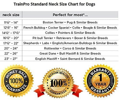 Waterproof TPU Replacement Strap for Dog Training Collar, 27.5 in - color: Blue Reflect