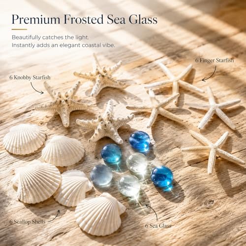 24 Pcs Starfish and Scallop Shells with Sea Glass, 3"-4" Large Natural Sea Shells for Crafts and Decorating, Seashell Decor for Beach Party, Wedding, Vase Filler, Christmas, Coastal Home DIY