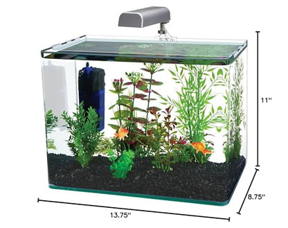 PENN-PLAX Water-World Radius Desktop Nano Aquarium Kit – Come with LED Light, Internal Filter, and Mat – Perfect for Shrimp and Small Fish – 5 Gallon Tank