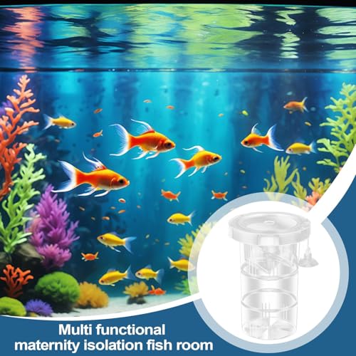 Aquarium Fry Nursery – Compact Breeding Chamber, 12x12x12cm Divider Habitat, Easy Install Structure | Aquatic Care Equipment with Isolation Space for Guppy Shrimp Betta Saltwater Organisms Recovery