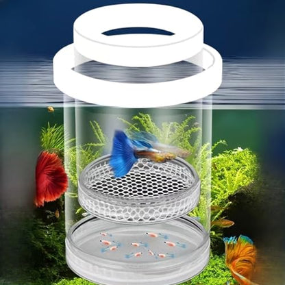 Fish Breeding Box, Floating Aquarium Hatchery Cage with EVA Buoyancy Ring, Adjustable Height Isolation Container for Guppy Fry Small Fish - color: Green, size: 5.6*3.6in