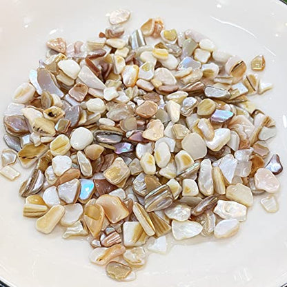 Yew & Tulip Natural Crushed Shells Chips, 32 oz (2 lb) Irregular Mother of Pearl Mosaic Fragments for Crafts, Home Décor, Vase Filler, Wedding, Fish Tank, Wedding, DIY etc. (32 oz (2 lb), Warm)