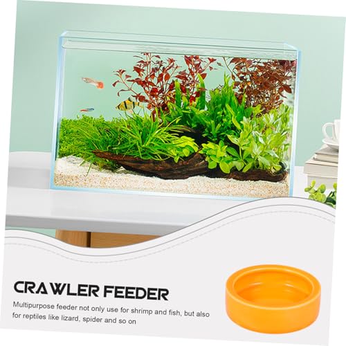 Garneck Crawler Crawling Pet Feeding Bowl Orange Shrimp Food Basin Design for Fish and Reptiles Non-Escape Feeder Dish