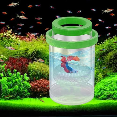 Fish Breeder Box - Clear Acrylic, Strong Suction Cups, V-Grate, Safe Fry Hatching Tank Guppy, Protects Fish, Betta Shrimp Isolation Space, Aquatic Separator Nursery | for Aquarium - color: Green