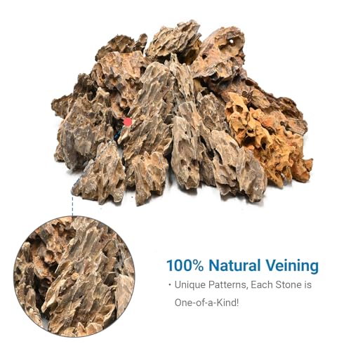 Natural Stone 20lb Aquarium Rocks for Aquarium Landscaping Models and PH Neutral Rocks Aquascaping Stones for Terrariums-2-8 inches