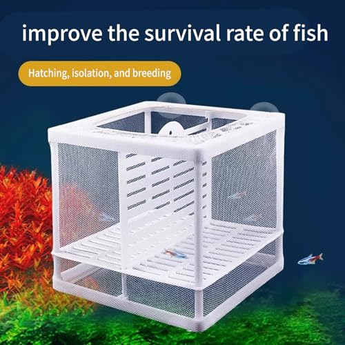 2PCS Protective Aquariums Breeding Cage Netting Nursery Tanks with Suction Cup for Fry Rearing and Secure Observation Spawning Box for Aquariums Fish - color: small