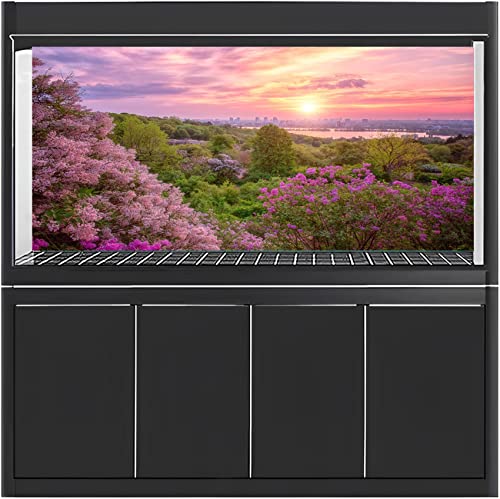 AWERT 24x16 inches Spring Cherry Blossom Terrarium Background Pink Flower Tree Sunset Floral Aquarium Background Vinyl Background - size: 24x16in/60x40cm