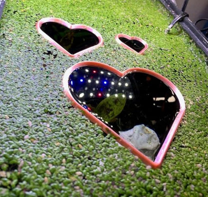 Heart Shaped Aquarium Feeding Ring, Floating Fish Feeding Ring for Fish Tank, Aquatic Plant Feeding Frame, Betta Shrimp Feeding Station, Cute Heart Aquarium Accessory Decor (Medium) - size: Medium