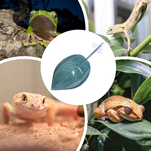 Turtle Basking Area - Floating Terrarium Creatures, Reptile Tank Leaf Terrace | Climb Support Pad, Suction Accessory Rest Spot, Gecko Toad Frog Deck for Garden Aquatic Display - color: Dark green