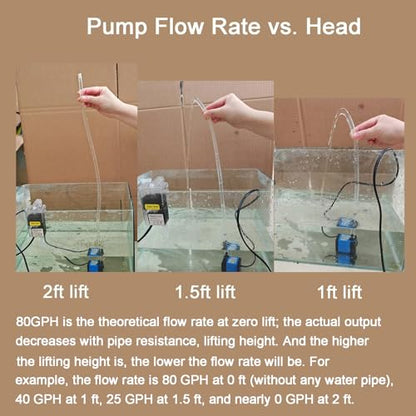 AQUANEAT Small Fountain Pump, 80 GPH Submersible Water Pump for Aquarium Fish Tank, Outdoor Water Fountain, Hydroponics, Pond Filter Pump