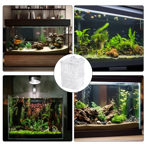 Breeder Box Fish, Acrylic White Breeder Isolation Divider Hatching Boxes, Aquarium Breeder Box, Hatchery Incubator Tank, Acrylic Fish Incubator Tank Divider for Baby Fish Betta Guppy Safe Acclimation