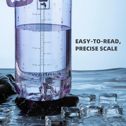 Fanhaw 32 oz Clear BPA-Free Tritan Water Bottle with Fast-Flow Spout Lid, BPA-Free & Leak-Proof Wide-Mouth Reusable Bottle for Gym, School & Office, Back to School Essentials (Amethyst) - color: Amethyst, style: 1 Pack