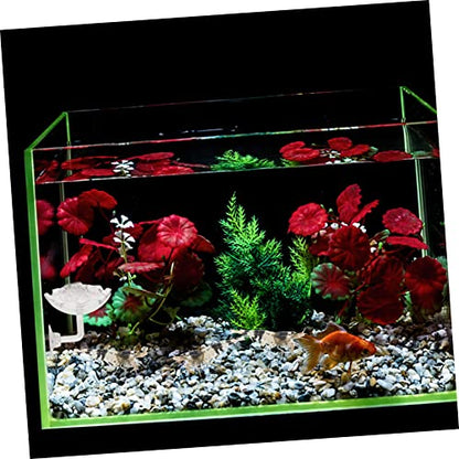 2pcs Acrylic Shrimp Feeding Dish with Cup Reptile Food Bowl for Aquariums Convenient Installation and Multi-Purpose Use Transparent Feeding Tray for Shrimp Tank