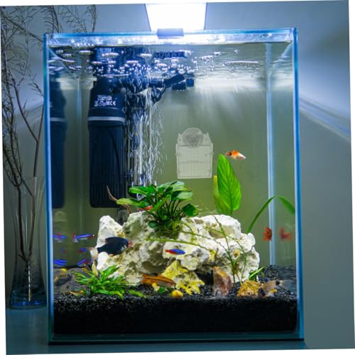 Toddmomy 2pcs Acrylic Fish Breeding Box Isolation Box Fish Separator for Aquarium Hatchery Incubator with Suction Cup for Shrimp Clownfish Guppy