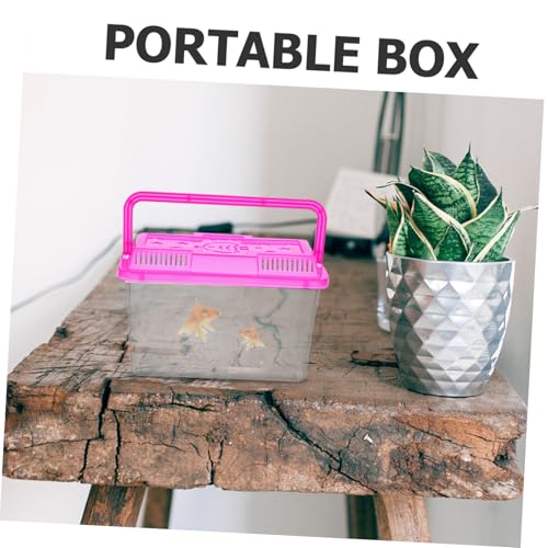 Toyvian 4Pcs Mini Handheld Pet Fish Tank Carrier Plastic Aquarium Box for Small Fish Turtles Hamsters and Reptiles with Lids Stable Base for Secure Housing
