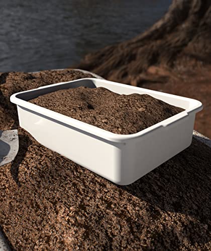 5-Pack Commercial Bus Tubs Box/Tote Box, White Plastic Storage Bin with Handles/Wash Basin Tub (8 Liter) - color: White, size: 8 Liter-White