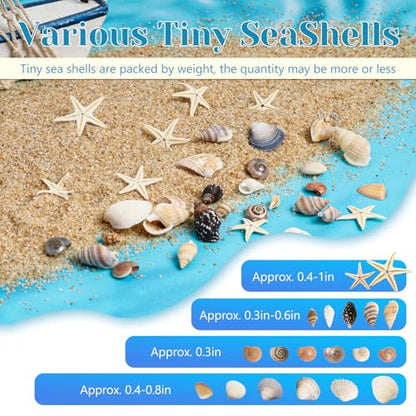 1200 Pieces Tiny Sea Shells Small Natural Starfish Mixed Ocean Beach Spiral Seashells for Home Decorations,Wedding Decor,Candle Making,Beach Theme Party,DIY Crafts and Vase Filler