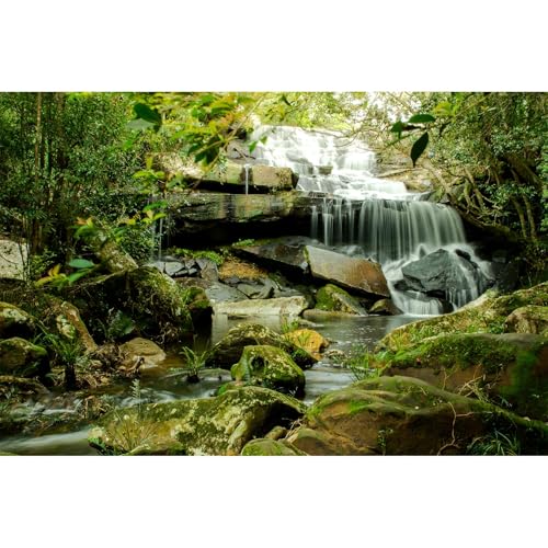 Waterfall Aquarium Background Jungle Forest Lake Stream Natural Landscape Fish Tank Background Tropical Plants Huge Rock Moss Terrarium Backgrounds Jungle Trees Falls Reptile Tank Backgrounds 36x18in - color: Light Green, size: 36(W)x18(H)inches/ 90(W)*45