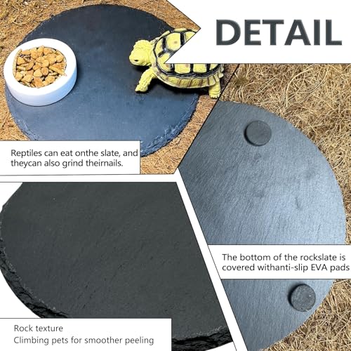 Reptile Basking Platform,7.8IN Tortoise Rock Slate Plate Feeding Food Bowl Dish Turtle Bathing Resting Terrace for Lizard Bearded Dragon Chameleon Gecko Snake Frog Newt - size: 7.8inch(1pcs)