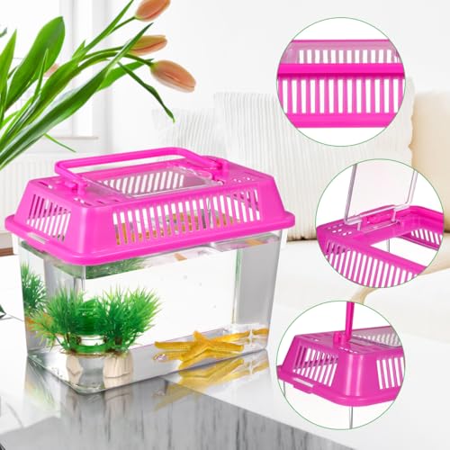 UPKOCH 4-Pack Critter Keeper Small Fish Tank, Portable Plastic Reptile Terrarium Bug Cage with Lid, Mini Travel Transport Container for Turtle Tarantula Hermit Crab