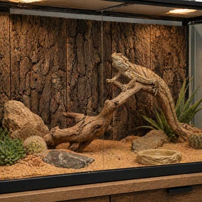 Natural Cork Bark Background for Reptile Terrarium, 4 Pack 11.8 x 7.9 Inch Cork Bark Flats, DIY Reptile Enclosure Background Climbing Wall for Gecko Bearded Dragon Lizard Snake Vivarium