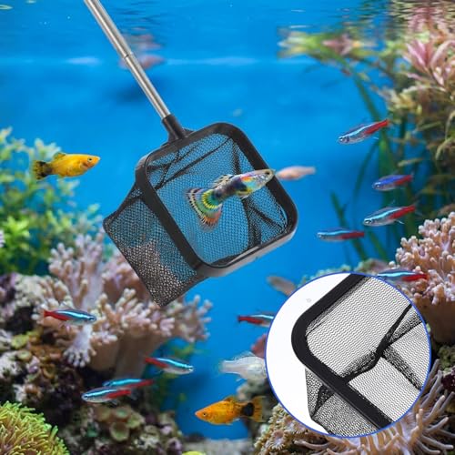 Aquarium Shrimp Net, 3 PCS Small Fish Nets for Fish Tank with Long Extendable Stainless Steel Handle, 3.15 Inch Round+Square Fine Mesh Net for Fishes Shrimp Tank Pond Creek Food Residue Debris