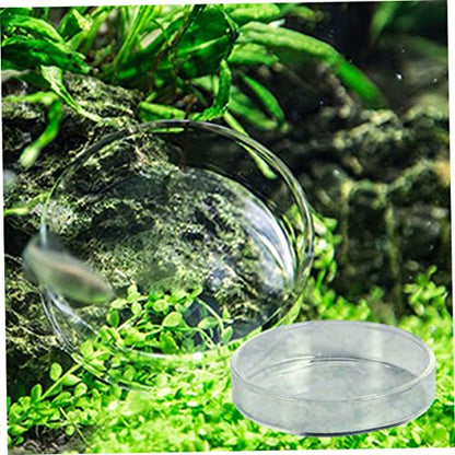 Toyvian 1pc Glass Shrimp Dish Glass Aquarium Feeding Bowl for Ornamental Shrimp and Small Fish Multipurpose Design for Aquatic Pets and Reptiles