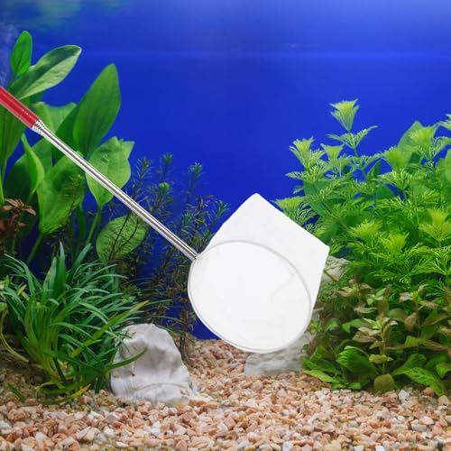 POPETPOP Mini Shrimp Net with Telescopic Handle Fine Mesh Small Aquarium Fish Net for Shrimp Catching and Aquarium Maintenance for Breeding and Cleaning