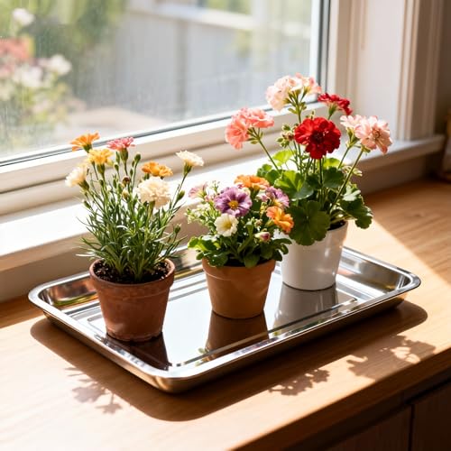 10-Pack 16 Inch Stainless Steel Growing Trays, Heavy-Duty Metal Sprouting Tray for Plants, Stainless Steel Plant Germination Trays for Hydroponics, Transplanting (Silver) - size: 10 Pack 16 Inch Silver