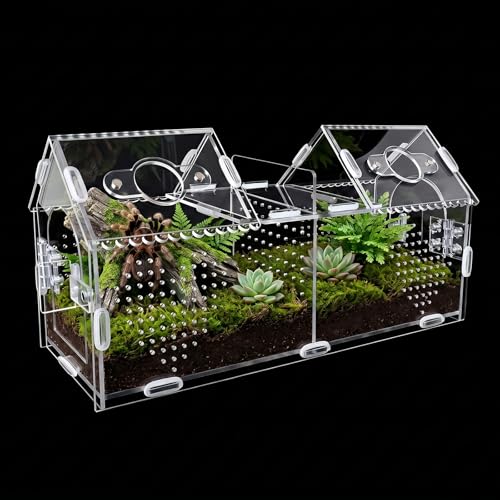 Jumping Spider Enclosure-Large Size Dual Space Tarantula Enclosure,Acrylic Side Door Double Feeding Port Spider Terrarium for Spider,Praying Mantis,Snail,Micro Reptile(12" L*3.6" W*6" H)