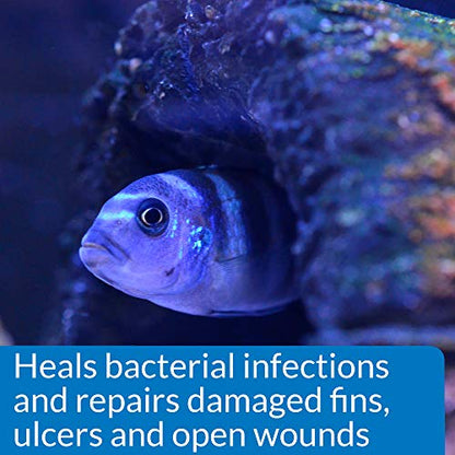 API MELAFIX Freshwater Fish Bacterial Infection Remedy 4-Ounce Bottle - size: 4-Ounce