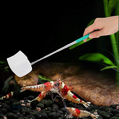 Pssopp Small Aquarium Fish Net Telescopic Pole Fish Shrimp Catch Nets Skimming Net with Extendable Long Handle for Fish Fry Crystal Shrimp(Green )