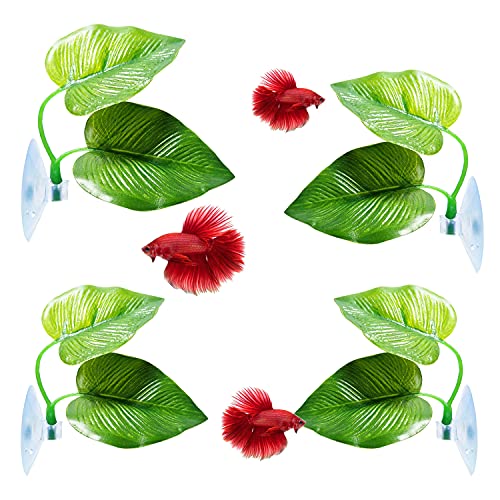 4 Pack Betta Fish Leaf Pad Improves Betta's Health by Simulating the Natural Habitat - Natural, Organic, Comfortable Rest Area for Fish Aquarium - size: 4 Pack