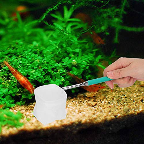 Pssopp Small Aquarium Fish Net Telescopic Pole Fish Shrimp Catch Nets Skimming Net with Extendable Long Handle for Fish Fry Crystal Shrimp(Green )