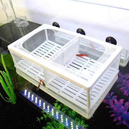 Aquarium Fish Breeder Box Fish Fry Hatchery Incubator Net Nylon Isolation Mesh with 3pcs Pipette (Large) - size: Large