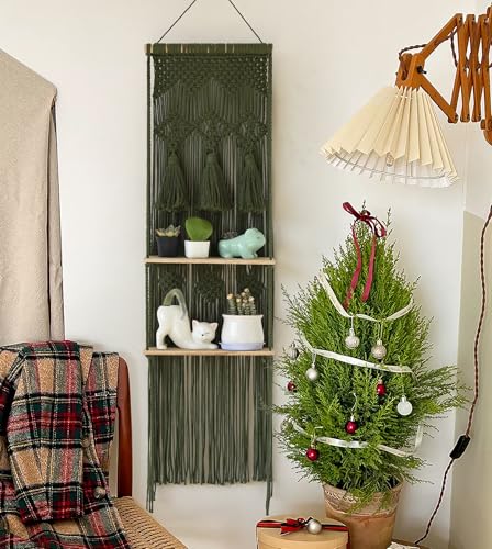 Hanging Shelf Macrame Wall Hanging Green Boho Shelfs with Tassels 2 Tier Floating for Plants Bedroom Dorm Living Room Wall Decor Rustic Wooden Organizer(Wood) - color: Green1