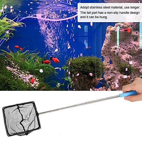 Aquarium Shrimp Net, Stainless Steel Fine Mesh Nest Extendable Fish Fish Skimmer Net Scoop with Long Handle()