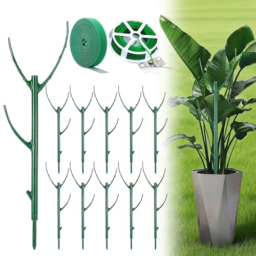 10 Pack Stackable Plant Support Stakes - Climbing Support for Indoor & Outdoor Use - Garden Accessories for Monstera, Pothos, Philodendron - Aesthetic Alternative to Moss Poles & Trellises