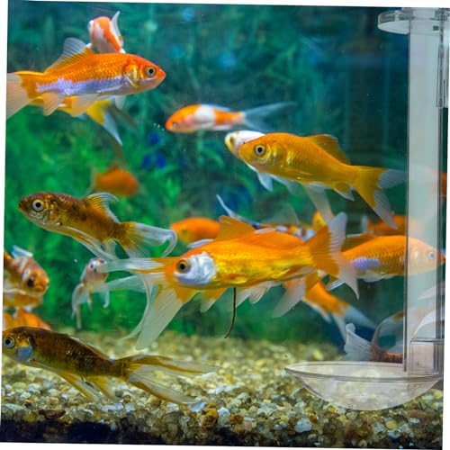 VANZACK 1set Hanging Fish Feeder Tool for Aquarium Acrylic Shrimp Feeder Easy Installation for Fish Tanks and Aquatic Environments