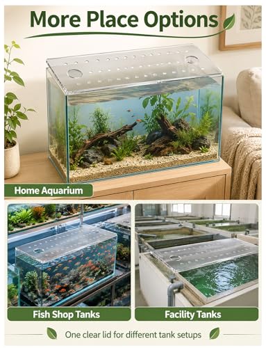 Acrylic Fish Tank Lid with 30mm Feeding Holes & 8mm Ventilation Holes - Durable Aquarium Cover for Home, Retail, and Facility Use (31x16.5cm)