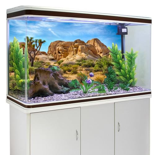 Polyester 72x18 inches Joshua Tree National Park Backdrop Arid Barren Cactus Sandstone Rock Climate Mountain and Desert Scenery Backdrop Desert Terrarium Background - size: 72x18 Inches
